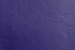 image00009